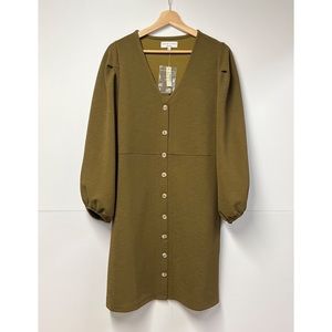 NWT Madewell x Texture & Thread Balloon-Sleeve Dress